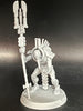 Necrons: Characters (used)