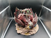 Orruk Warclans Mega Boss on Maw Crusha