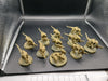 Tyranids: Termagants (used)