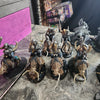 Ogor Mawtribes: Mournfang riders x2 (used)