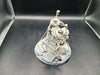Soulblight Gravelords: Wight King on Skeletal Steed (used)