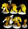 Space Marines: Terminator Assault Squad  -Used