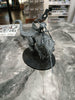 Seraphon Troglodon  -Used