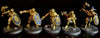 Stormcast Eternals: Liberators  -Used