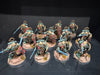 Dark Angels Army - Used