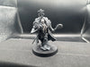 Space Wolves: Wolf Priest  -Used