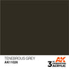 AK11026 Tenebrous Grey 17ml