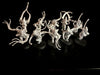 Adepta Sororitas: Arco-Flagellants  -Used