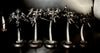 Adepta Sororitas: Seraphim/zephyrim Squad  -Used