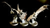 Soulblight Gravelords: Fell Bats  -Used