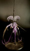 Hedonites of Slaanesh: Keeper of secrets  -Used