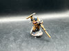 T'au Empire: Cadre Fireblade (used)