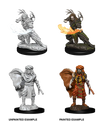 D&D Miniatures: Human Druid - Nolzur's Marvelous Unpainted Minis