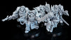 Death Guard: Blightlord Terminators - Used