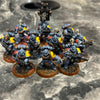 SPACE WOLVES: GREY HUNTERS (used)