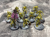 Maggotkin of Nurgle: Plaguebearers of Nurgle (used)