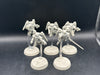 Adepta Sororitas: Seraphim Squad (used)