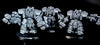 Space Marines: Centurion Assult Sqaud  -Used