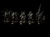 Maggotkin of Nurgle: Plaguebearers  -Used