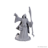 Dungeons & Dragons: Nolzur's Marvelous Unpainted Miniatures - W25 Star Spawn Larva Mage