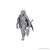 Dungeons & Dragons: Nolzur's Marvelous Unpainted Miniatures - W25 Dragonbord of Tiamat