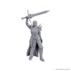 Dungeons & Dragons: Nolzur's Marvelous Unpainted Miniatures - W25 Blackguard