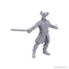 D&D Nolzur’s Marvelous Unpainted Miniatures – Baldur’s Gate 3: Wyll & Karlach