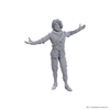 D&D Nolzur’s Marvelous Unpainted Miniatures – Baldur’s Gate 3: Sarevok Anchev & Raphael
