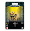 Orks: Orks Painboss