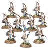 Lumineth Realm-Lords: Vanari Auralan Sentinels  -NOS