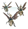 Maggotkin of Nurgle: Plague Drones NOS