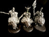 Orruk Warclans: Gore-Gruntas - Used