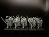 Old World: Warriors of Chaos - Chaos Warriors - Used