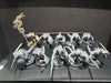 Seraphon: Saurus Warriors - Used