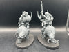 Ogor Mawtribes: Mournfang Pack (used)