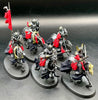 Barrow Knights (old Sculpt) (used)