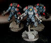 Space Marines: Inceptors (used)