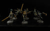 Harlequin Troupe  -Used