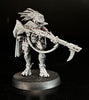 T'au: Kroot Trail Shaper  -Used