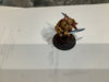 Adeptus Custodes: Characters (used)