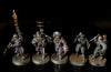 Horus Heresy: Solar Auxilia Tactical Command Section  -Used