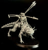 T'au: Kroot Lone Spear  -Used
