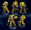 Space Marines: Primaris Intercessors  -Used