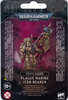 Death Guard: Plague Marine Icon Bearer