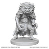 D&D Unpt Mini Classic Wight & Classic Wraith