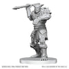 D&D Unpt Mini Bugbear Stalker & Goblin Hexer