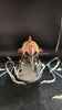 Tyranid: Haruspex  -Used