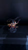 Blades Of Khorne: Bloodstoker -Used