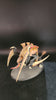 Tyranids: Carnifex -Used