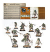 Rotmire Creed Warcry Warband